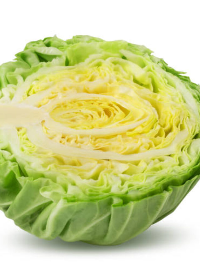 The 8 Wonders of Cabbage